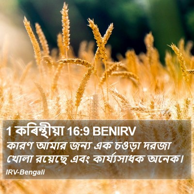 1 কৰিন্থীয়া 16:9 BENIRV Bible Verse Image