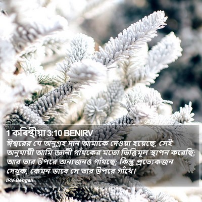 1 কৰিন্থীয়া 3:10 BENIRV Bible Verse Image