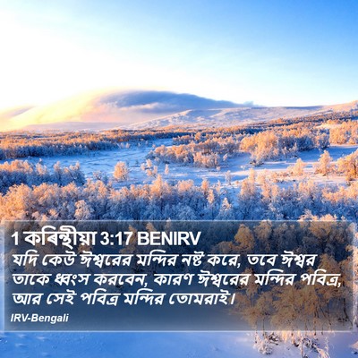 1 কৰিন্থীয়া 3:17 BENIRV Bible Verse Image