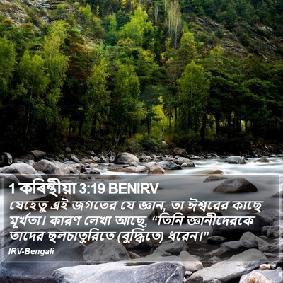 1 কৰিন্থীয়া 3:19 BENIRV Bible Verse Image