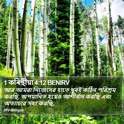 1 কৰিন্থীয়া 4:12 BENIRV Bible Verse Image