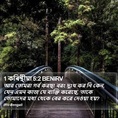 1 কৰিন্থীয়া 5:2 BENIRV Bible Verse Image
