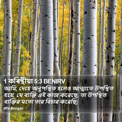 1 কৰিন্থীয়া 5:3 BENIRV Bible Verse Image