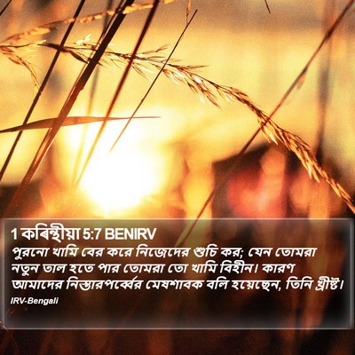 1 কৰিন্থীয়া 5:7 BENIRV Bible Verse Image