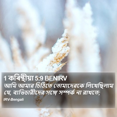 1 কৰিন্থীয়া 5:9 BENIRV Bible Verse Image