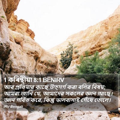 1 কৰিন্থীয়া 8:1 BENIRV Bible Verse Image
