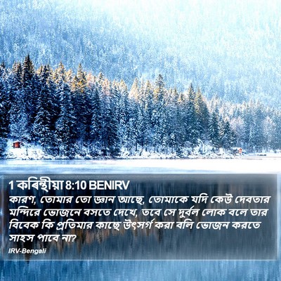 1 কৰিন্থীয়া 8:10 BENIRV Bible Verse Image