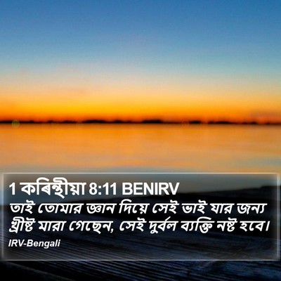 1 কৰিন্থীয়া 8:11 BENIRV Bible Verse Image