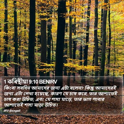 1 কৰিন্থীয়া 9:10 BENIRV Bible Verse Image