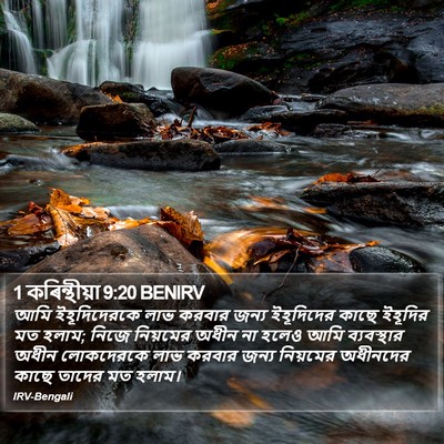 1 কৰিন্থীয়া 9:20 BENIRV Bible Verse Image
