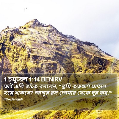 1 চমূৱেল 1:14 BENIRV Bible Verse Image
