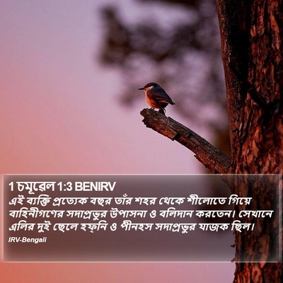 1 চমূৱেল 1:3 BENIRV Bible Verse Image