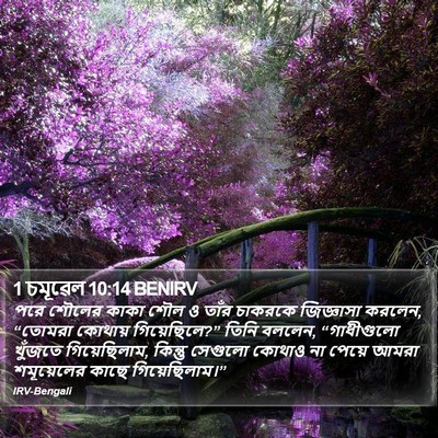 1 চমূৱেল 10:14 BENIRV Bible Verse Image