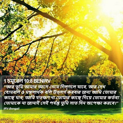1 চমূৱেল 10:8 BENIRV Bible Verse Image
