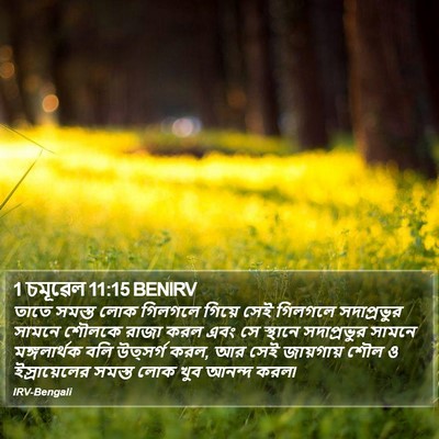 1 চমূৱেল 11:15 BENIRV Bible Verse Image