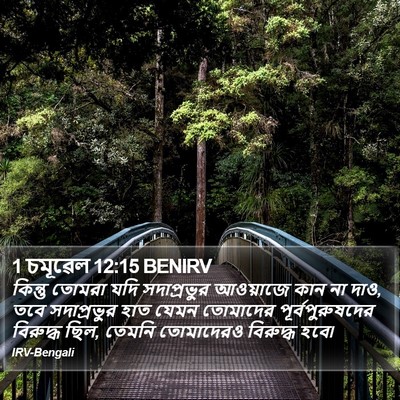 1 চমূৱেল 12:15 BENIRV Bible Verse Image