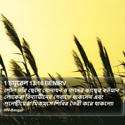 1 চমূৱেল 13:16 BENIRV Bible Verse Image
