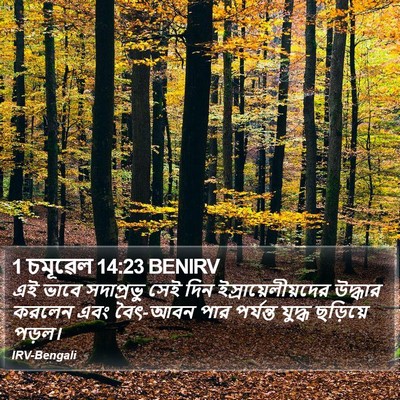 1 চমূৱেল 14:23 BENIRV Bible Verse Image