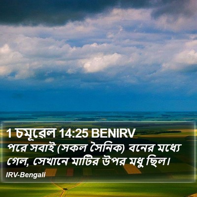 1 চমূৱেল 14:25 BENIRV Bible Verse Image