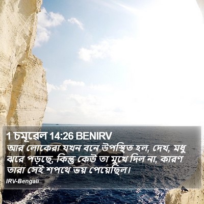 1 চমূৱেল 14:26 BENIRV Bible Verse Image