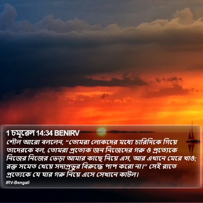 1 চমূৱেল 14:34 BENIRV Bible Verse Image