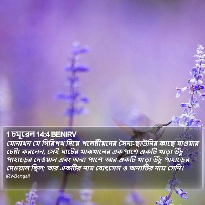 1 চমূৱেল 14:4 BENIRV Bible Verse Image