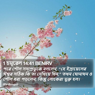 1 চমূৱেল 14:41 BENIRV Bible Verse Image