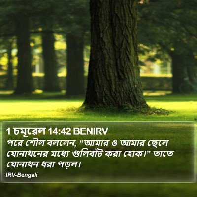1 চমূৱেল 14:42 BENIRV Bible Verse Image
