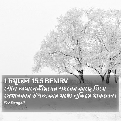 1 চমূৱেল 15:5 BENIRV Bible Verse Image