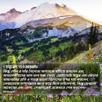 1 চমূৱেল 15:9 BENIRV Bible Verse Image