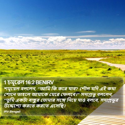 1 চমূৱেল 16:2 BENIRV Bible Verse Image