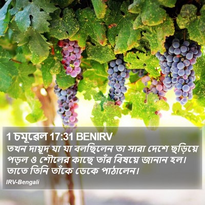 1 চমূৱেল 17:31 BENIRV Bible Verse Image
