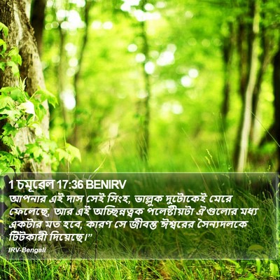 1 চমূৱেল 17:36 BENIRV Bible Verse Image