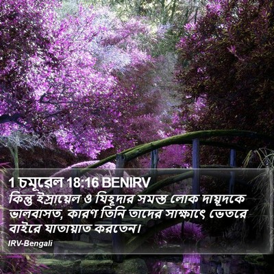 1 চমূৱেল 18:16 BENIRV Bible Verse Image