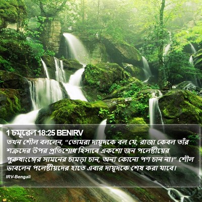 1 চমূৱেল 18:25 BENIRV Bible Verse Image