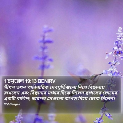 1 চমূৱেল 19:13 BENIRV Bible Verse Image
