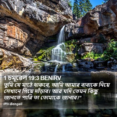 1 চমূৱেল 19:3 BENIRV Bible Verse Image