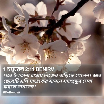 1 চমূৱেল 2:11 BENIRV Bible Verse Image