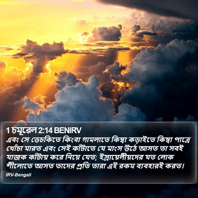 1 চমূৱেল 2:14 BENIRV Bible Verse Image