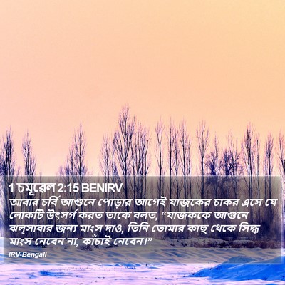 1 চমূৱেল 2:15 BENIRV Bible Verse Image
