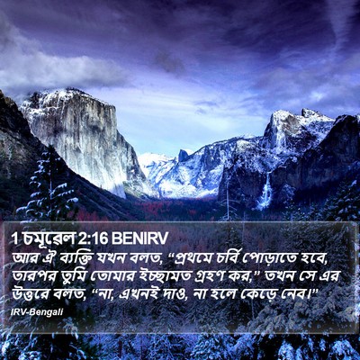 1 চমূৱেল 2:16 BENIRV Bible Verse Image