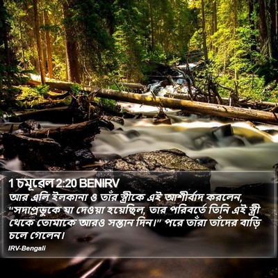 1 চমূৱেল 2:20 BENIRV Bible Verse Image