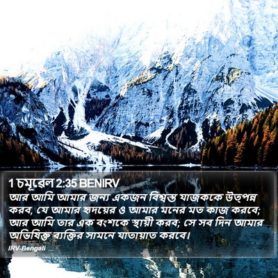 1 চমূৱেল 2:35 BENIRV Bible Verse Image