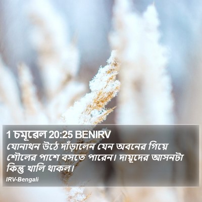 1 চমূৱেল 20:25 BENIRV Bible Verse Image
