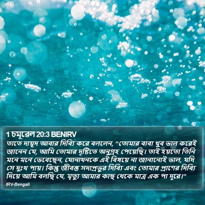 1 চমূৱেল 20:3 BENIRV Bible Verse Image