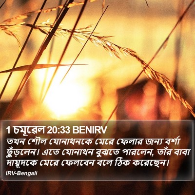 1 চমূৱেল 20:33 BENIRV Bible Verse Image