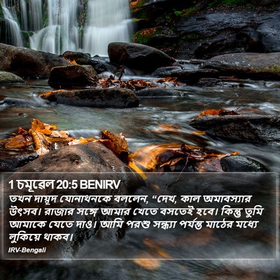 1 চমূৱেল 20:5 BENIRV Bible Verse Image