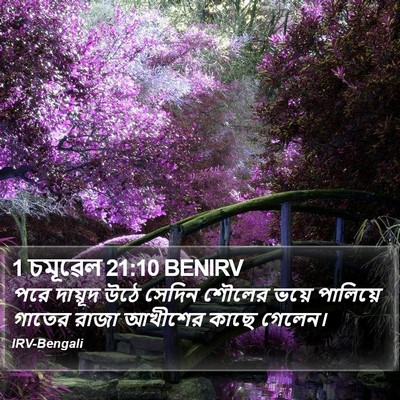 1 চমূৱেল 21:10 BENIRV Bible Verse Image