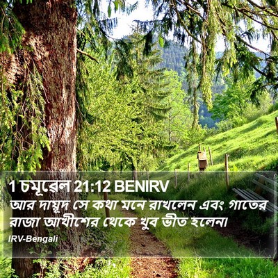 1 চমূৱেল 21:12 BENIRV Bible Verse Image