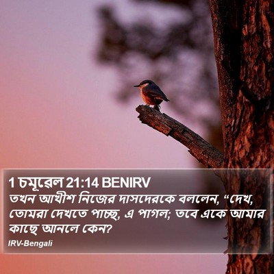 1 চমূৱেল 21:14 BENIRV Bible Verse Image